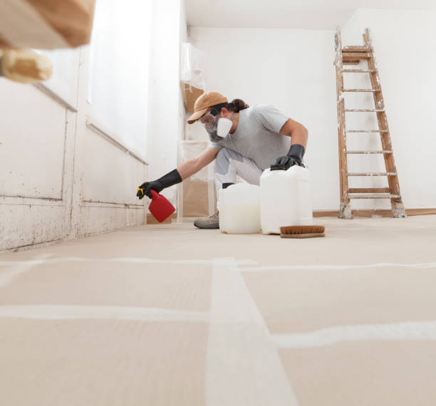 Best Mold Documentation for Insurance Claims  in Berthoud, CO